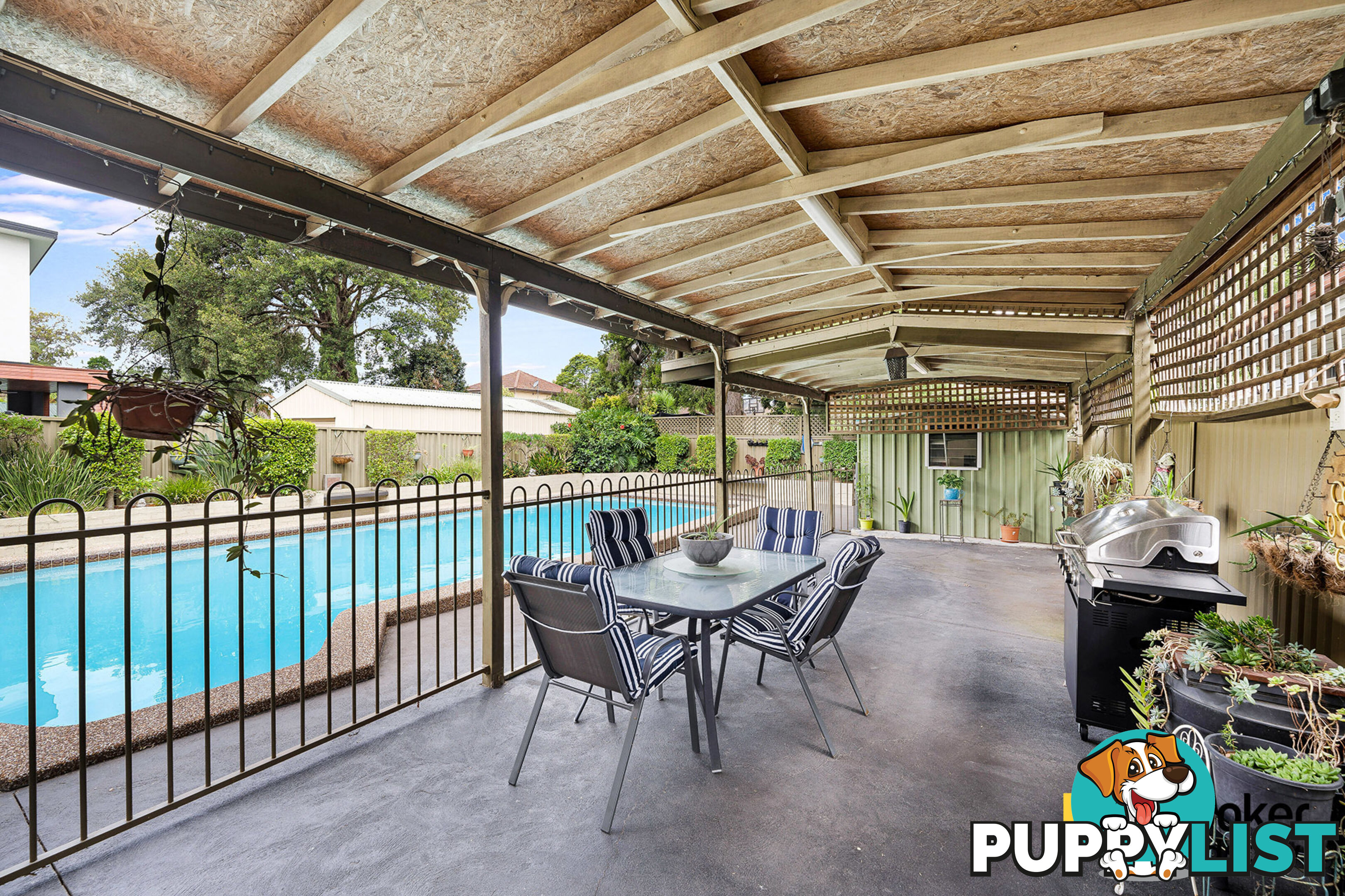 43 Burley Road PADSTOW NSW 2211