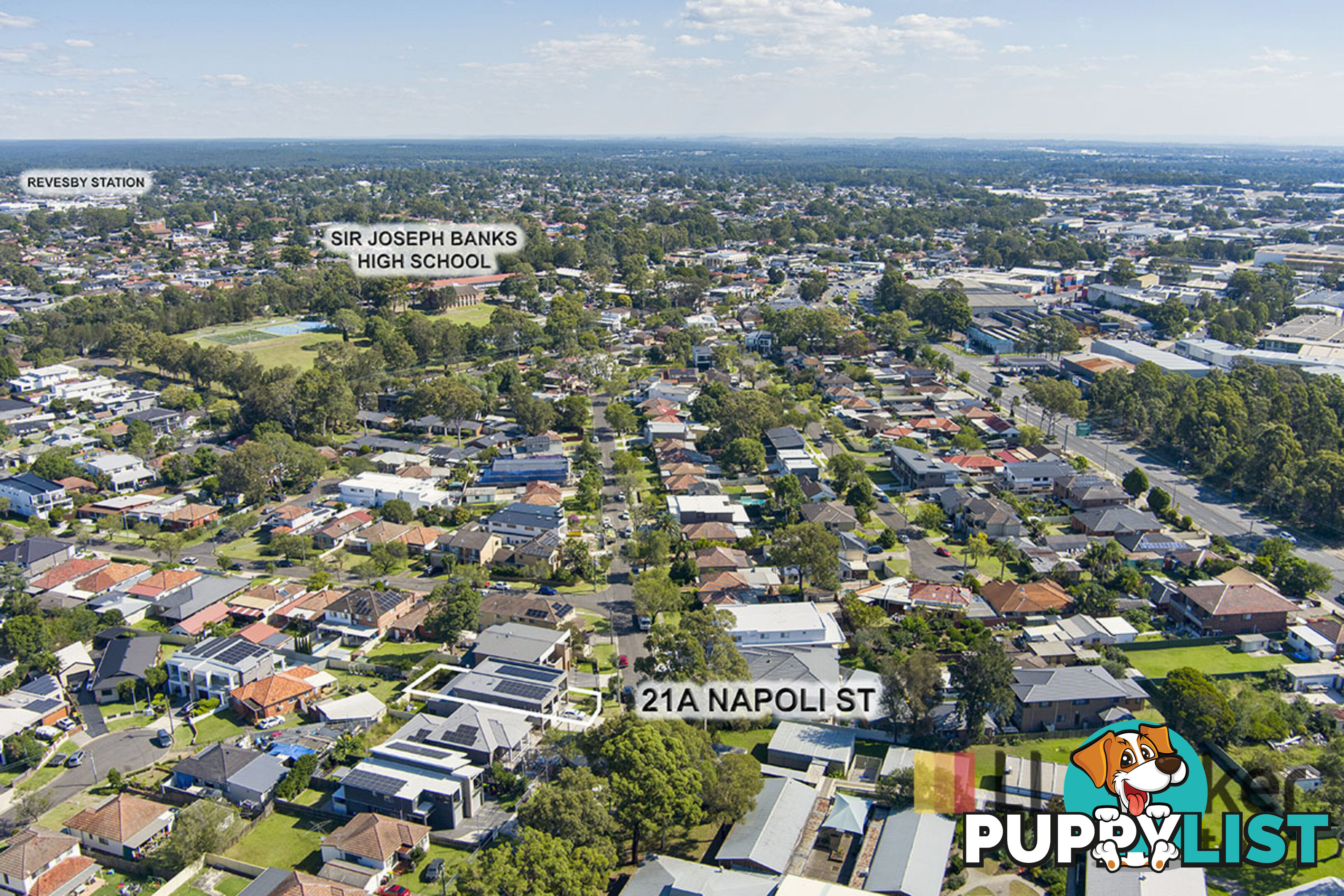 21A Napoli Street PADSTOW NSW 2211