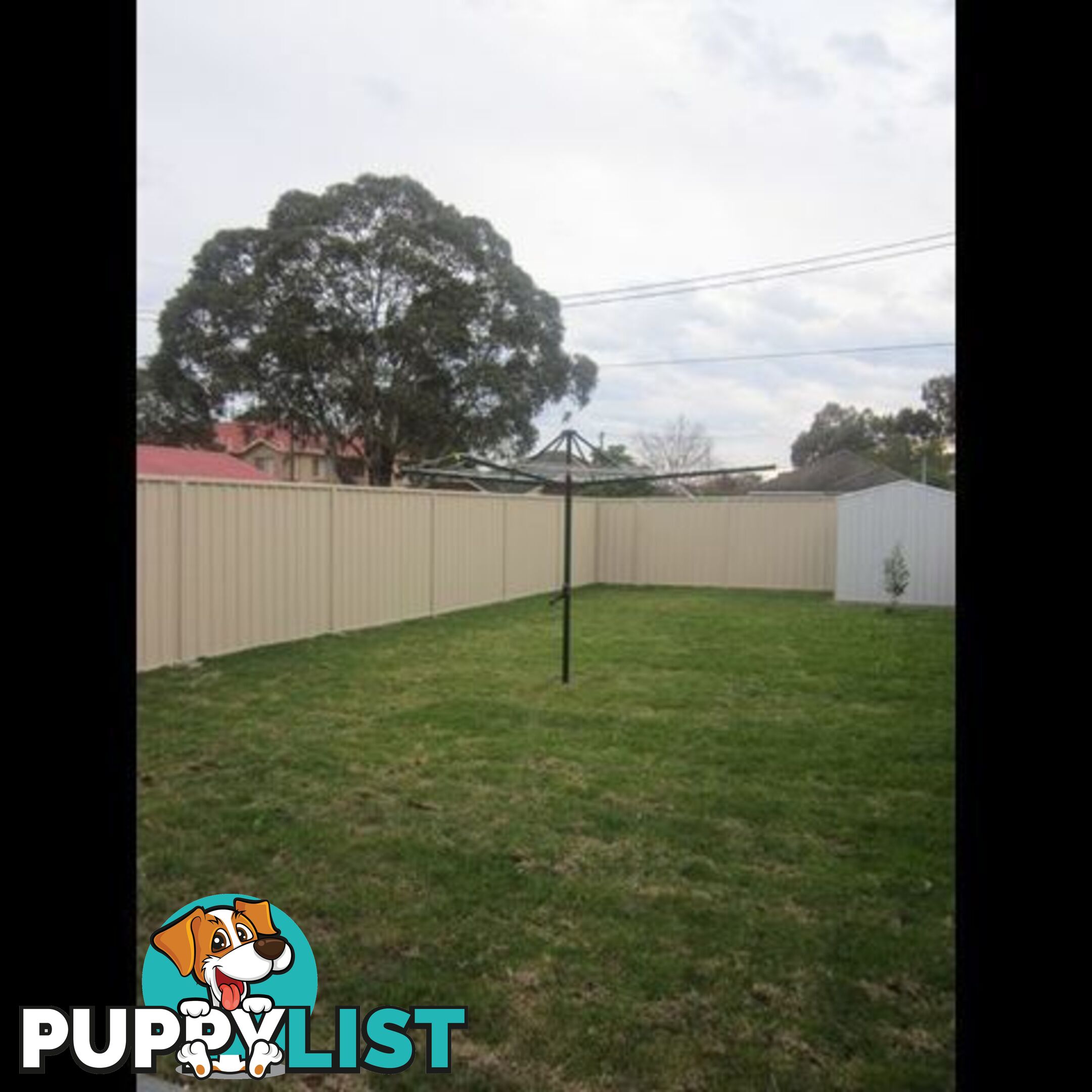 75A Watson Road PADSTOW NSW 2211
