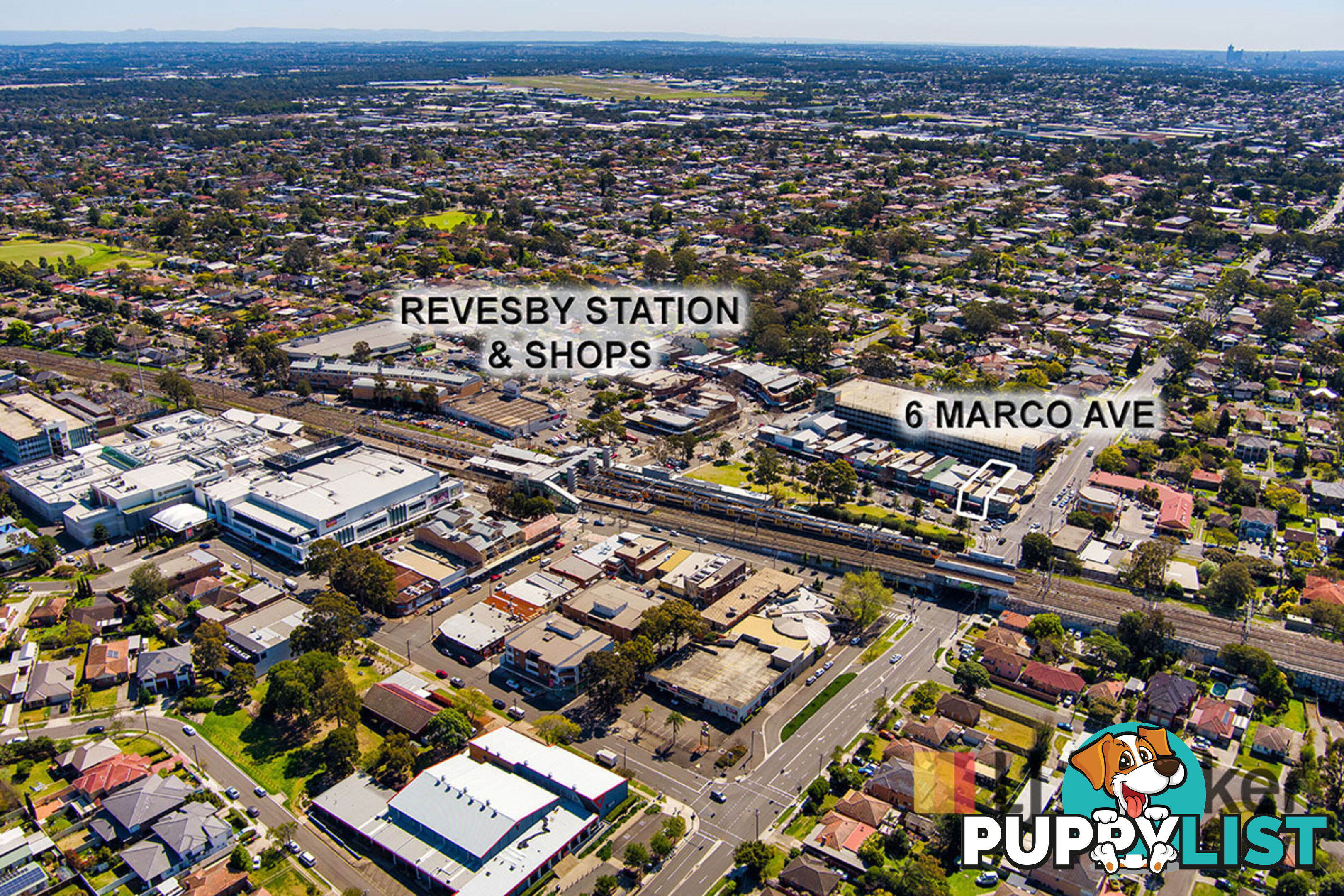 6 Marco Avenue REVESBY NSW 2212