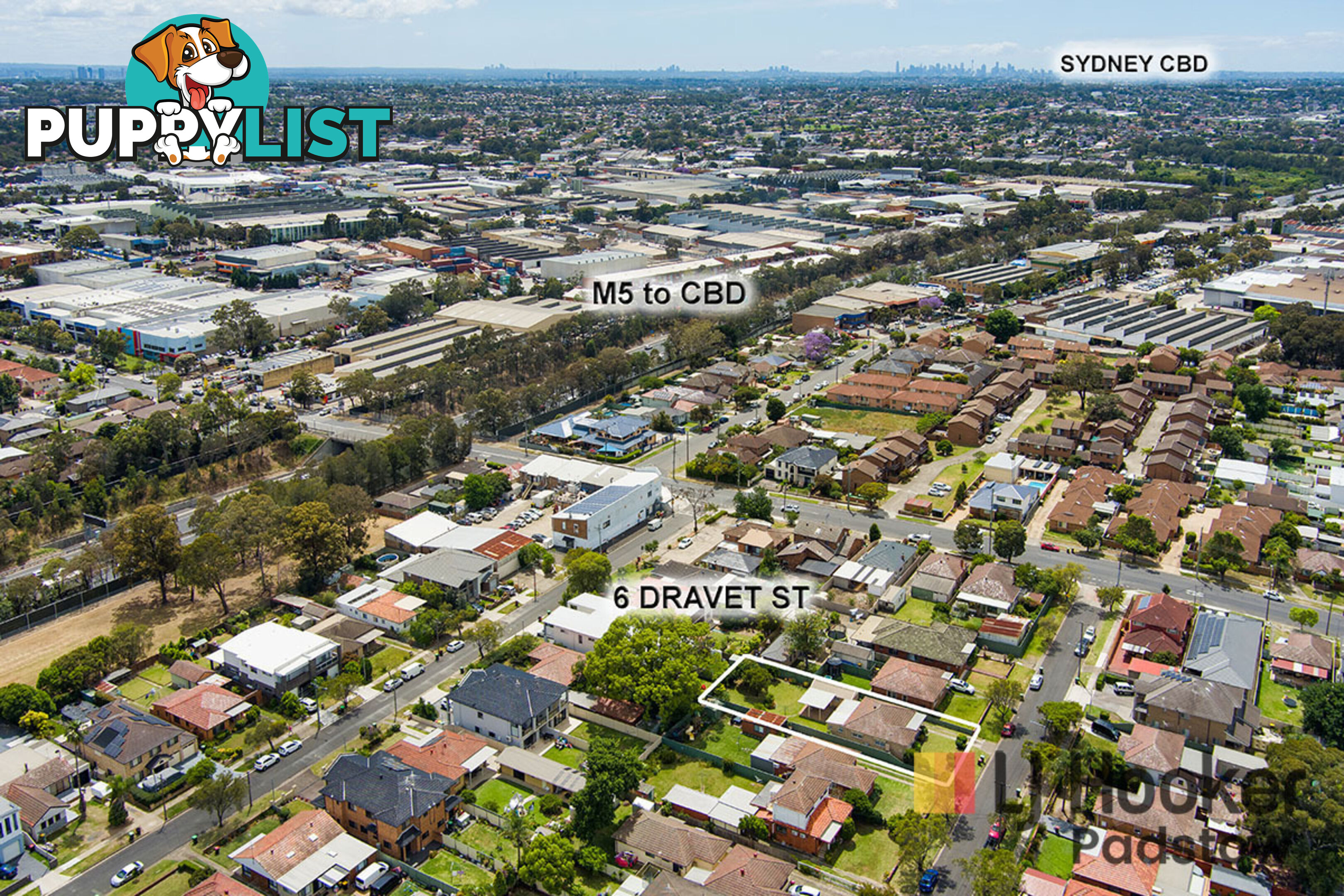 6 Dravet Street PADSTOW NSW 2211