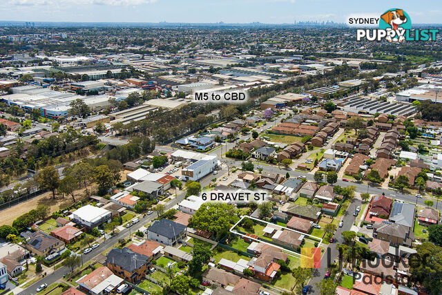6 Dravet Street PADSTOW NSW 2211