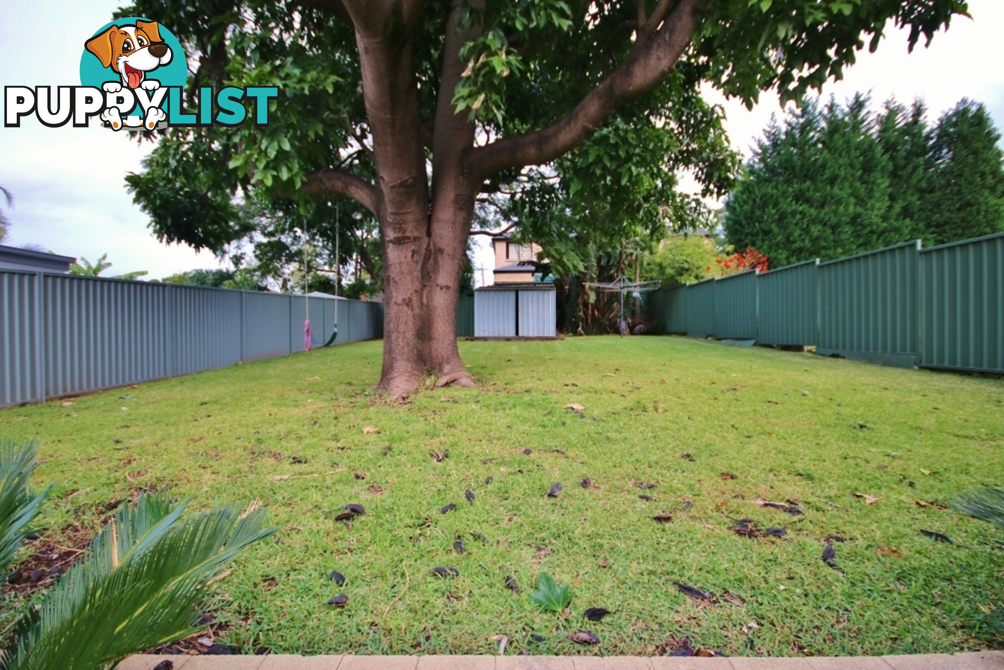 25 Meager Avenue PADSTOW NSW 2211