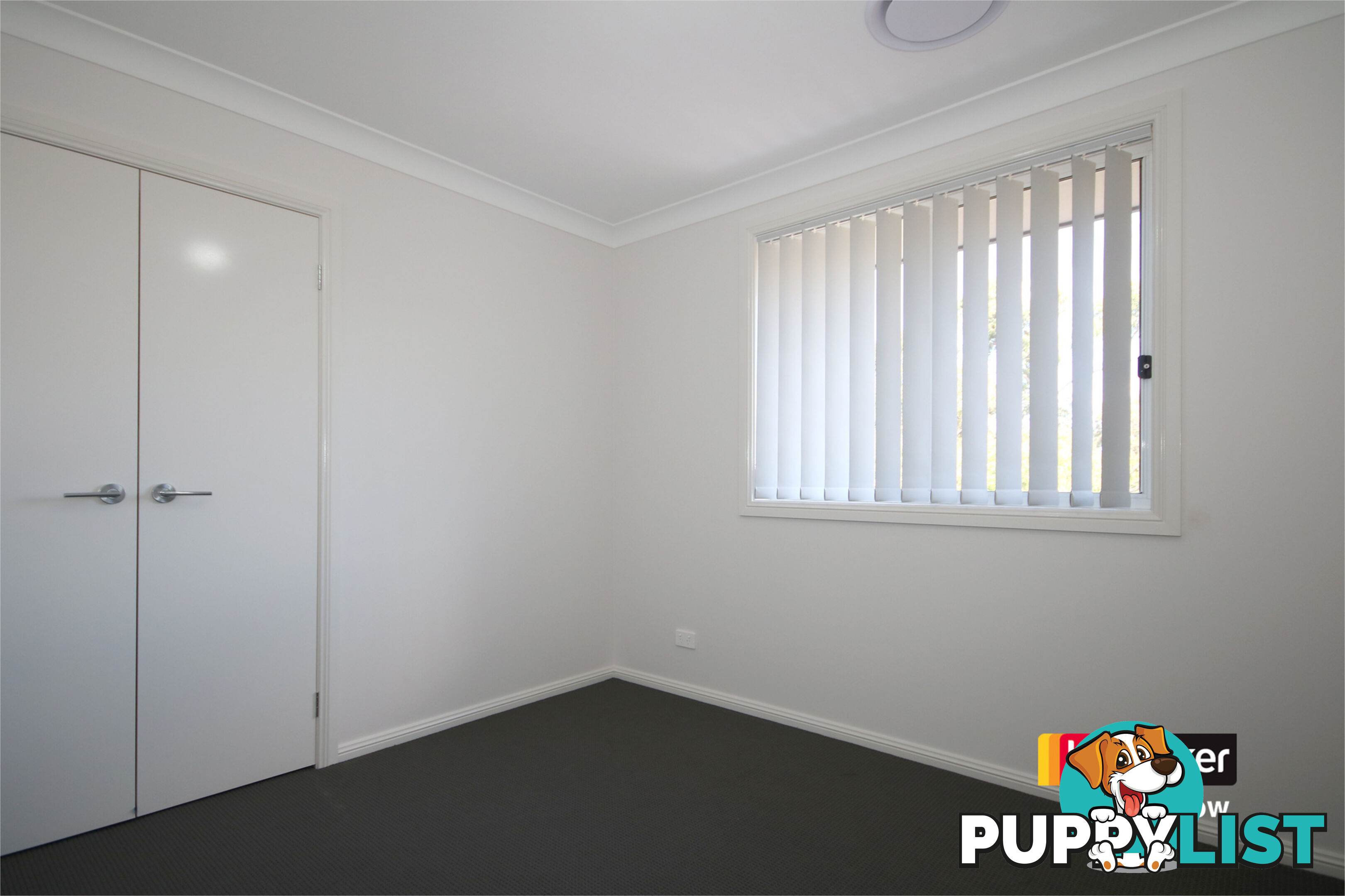 23 Newey Avenue PADSTOW NSW 2211