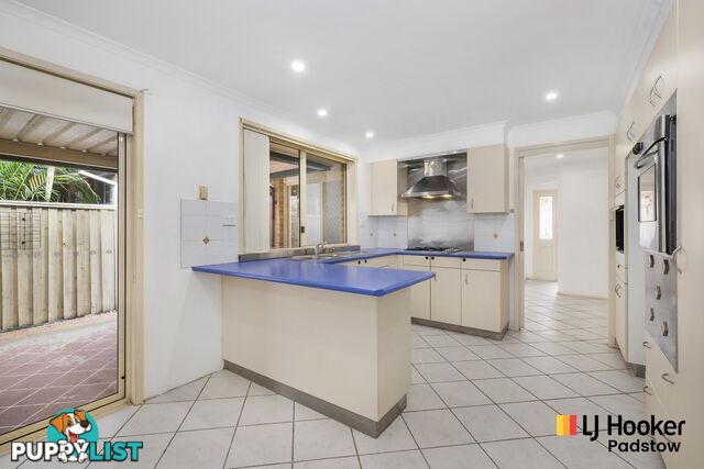 18 Fernleaf Court WATTLE GROVE NSW 2173