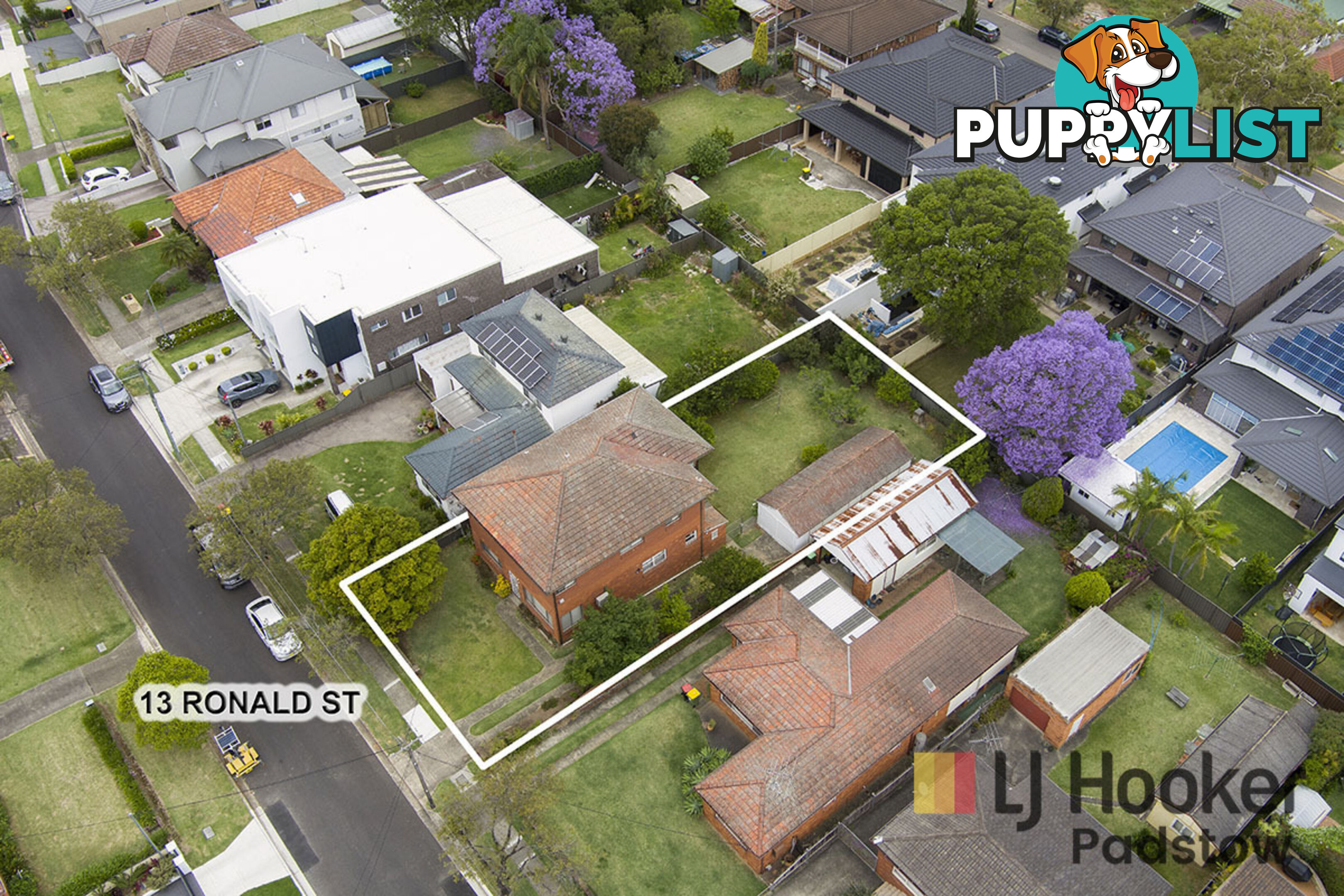 13 Ronald Street PADSTOW NSW 2211