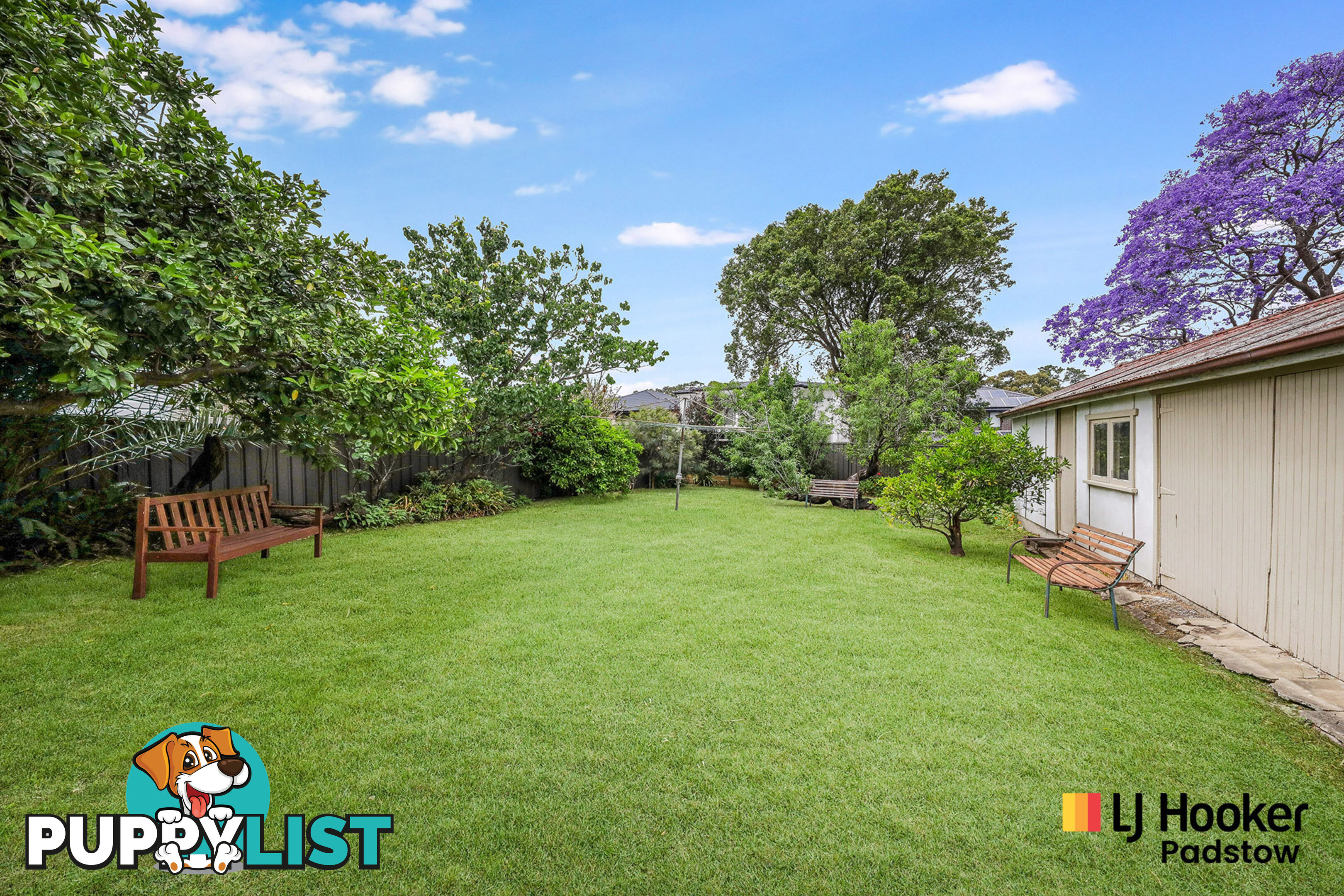 13 Ronald Street PADSTOW NSW 2211