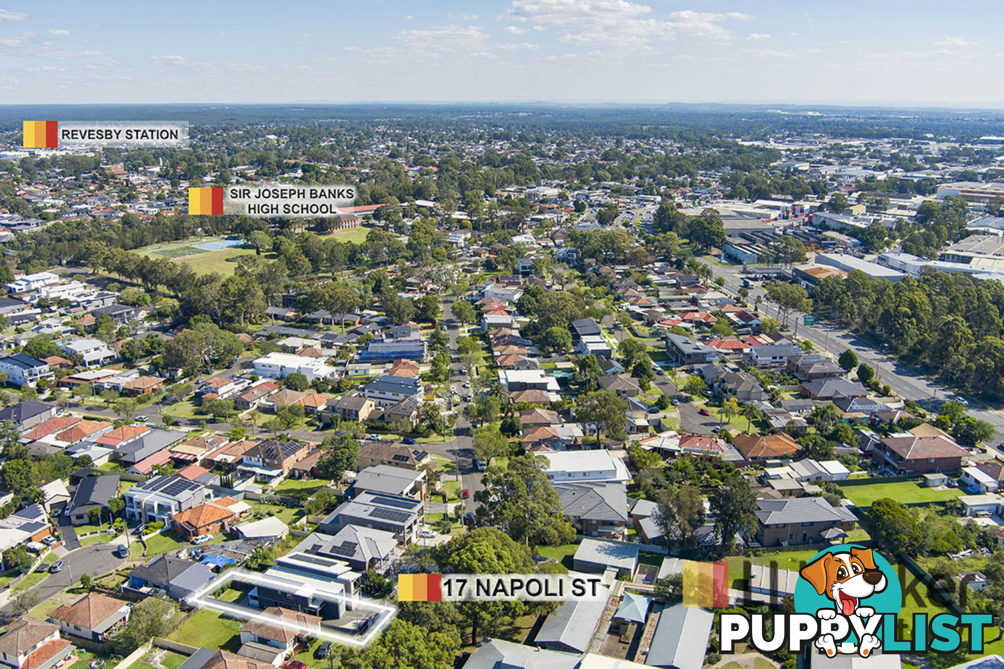 17 Napoli Street PADSTOW NSW 2211