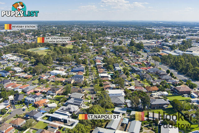 17 Napoli Street PADSTOW NSW 2211