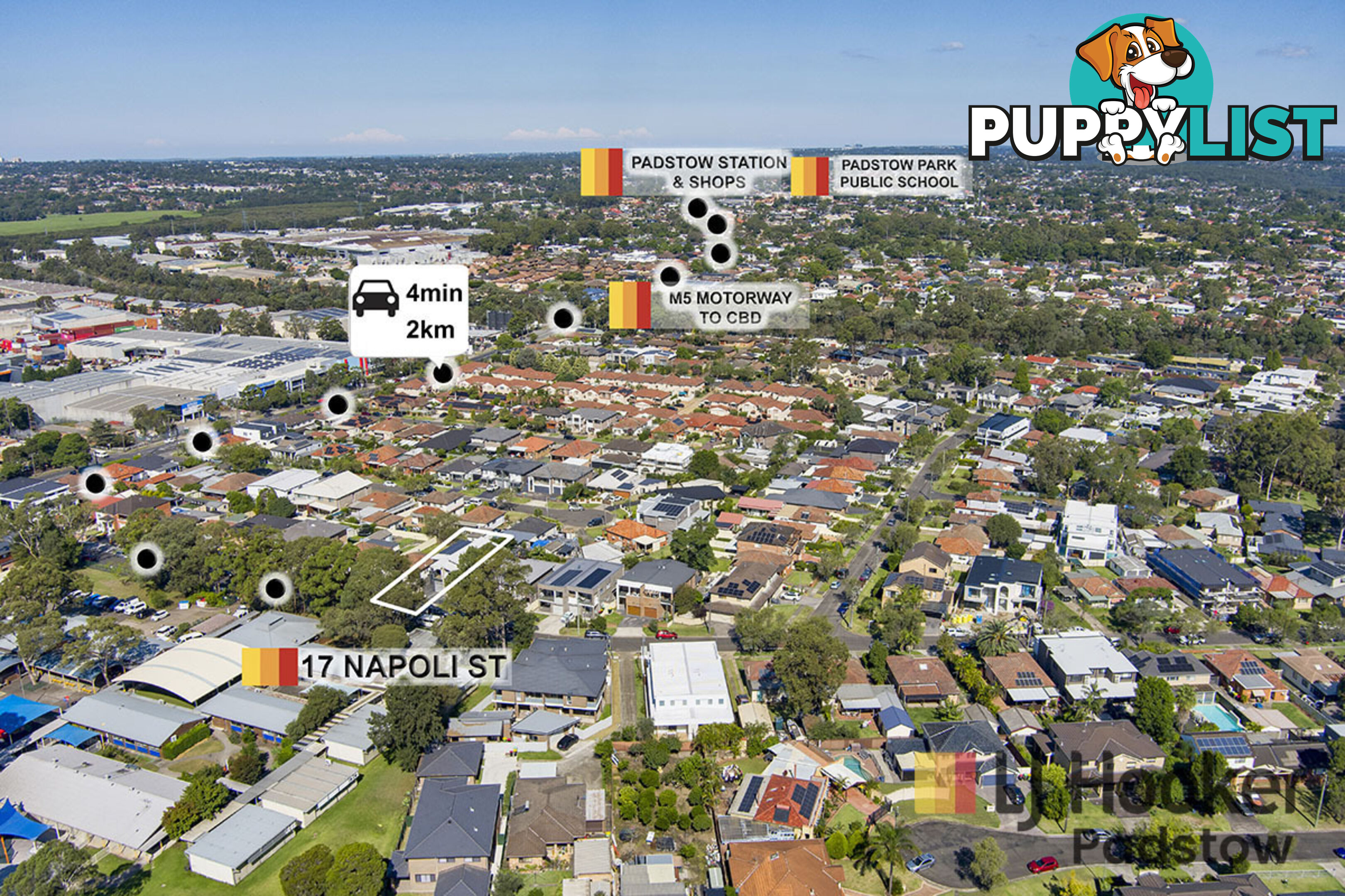 17 Napoli Street PADSTOW NSW 2211