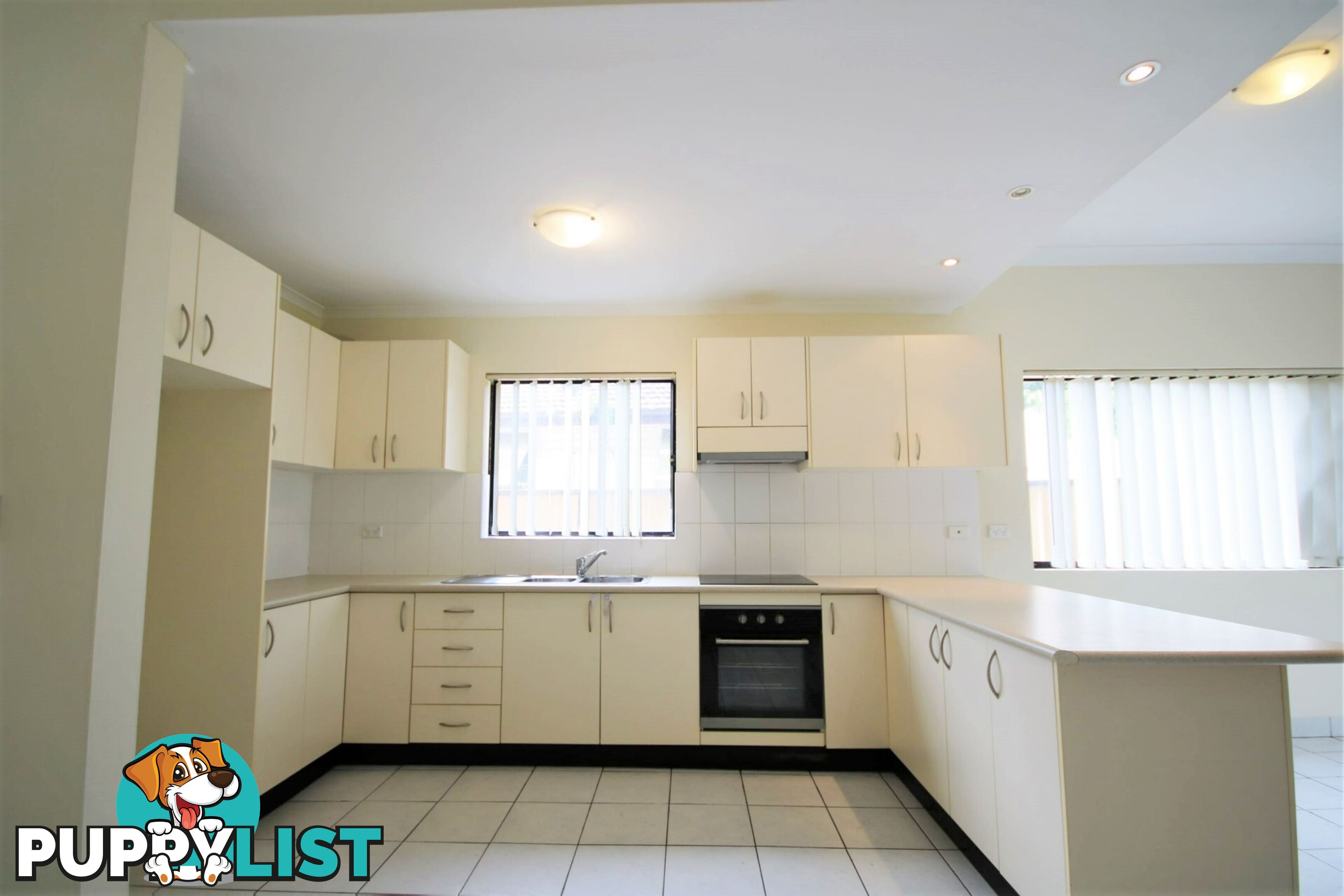 17 Iluka Street REVESBY NSW 2212