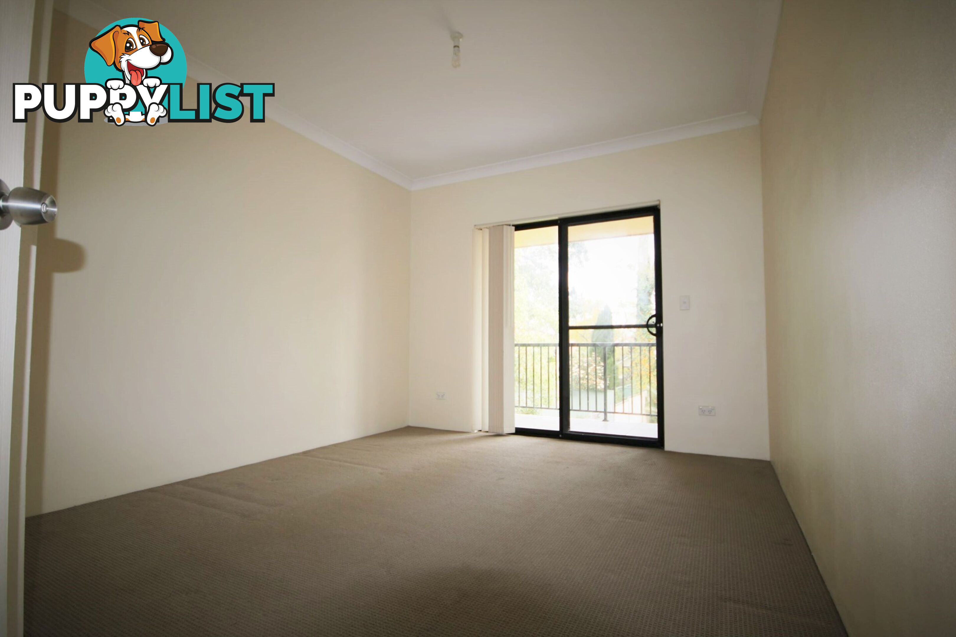 17 Iluka Street REVESBY NSW 2212