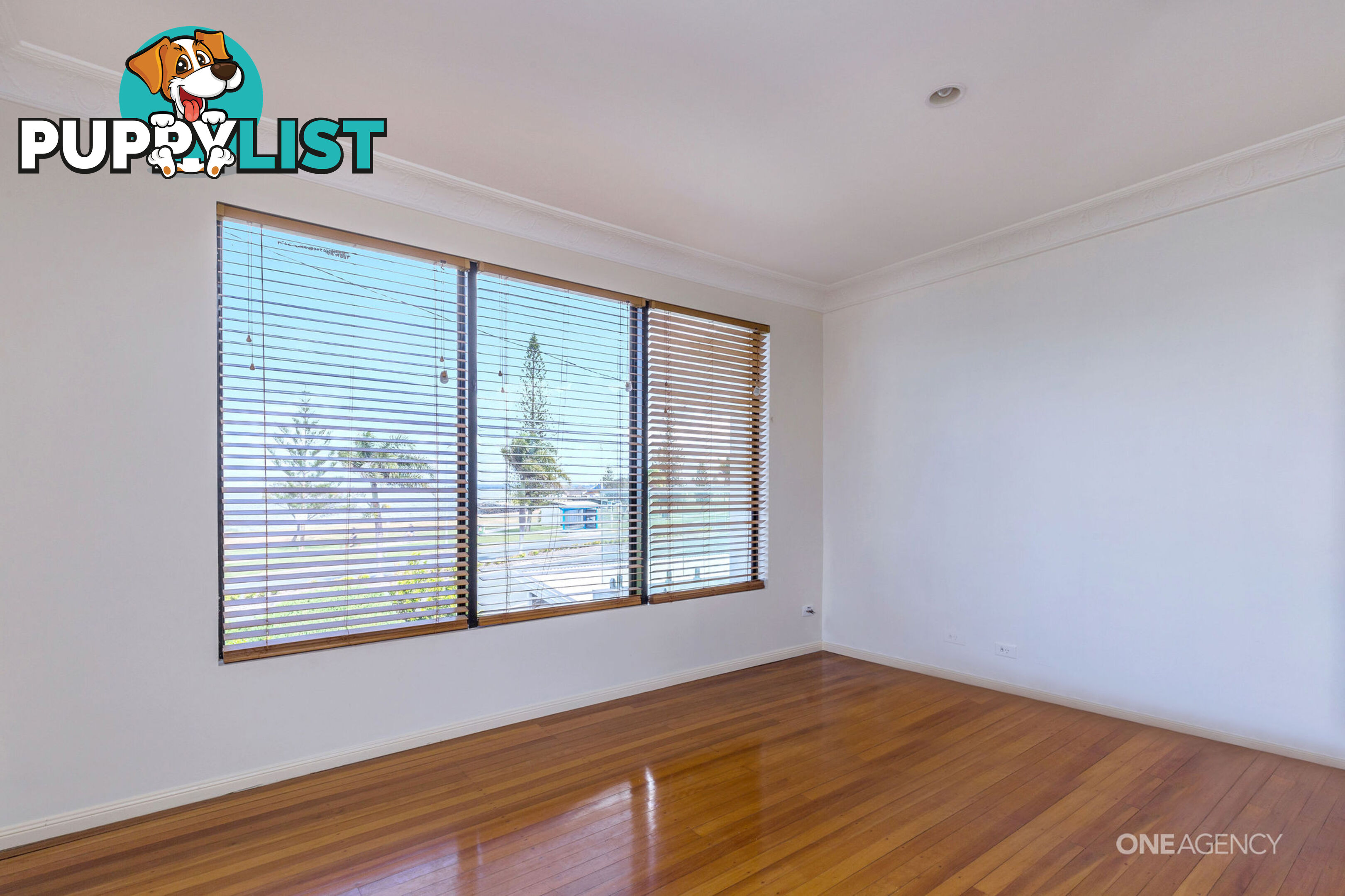 166 Hornibrook Esplanade Clontarf QLD 4019