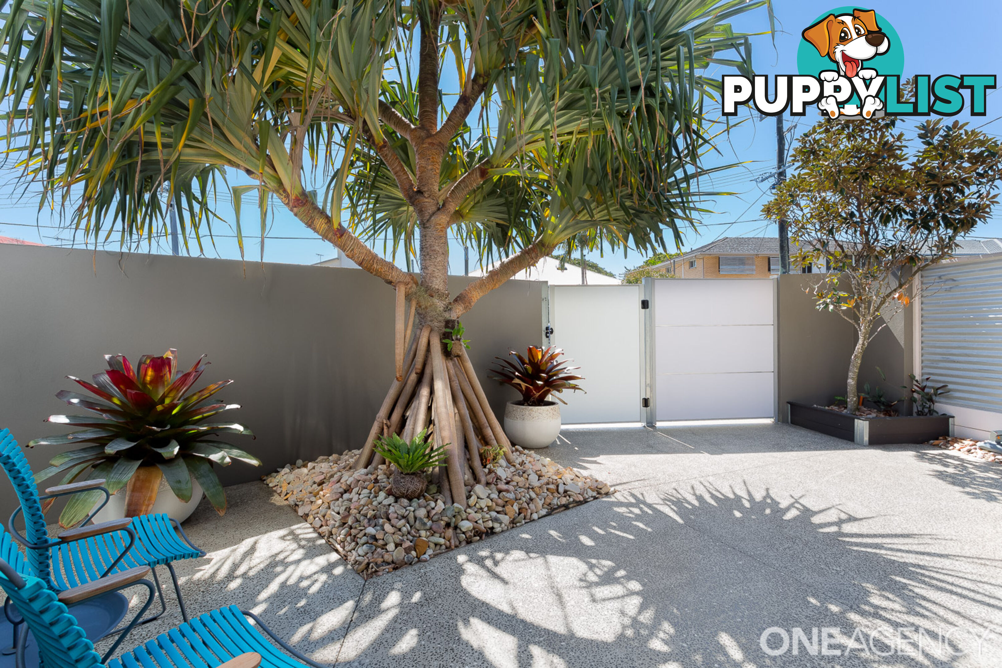 36 Webb Street Margate QLD 4019