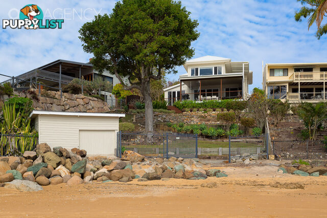 16 Whytecliffe Parade Woody Point QLD 4019