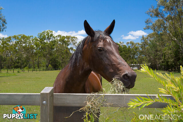 390 Old Bay Road Burpengary East QLD 4505