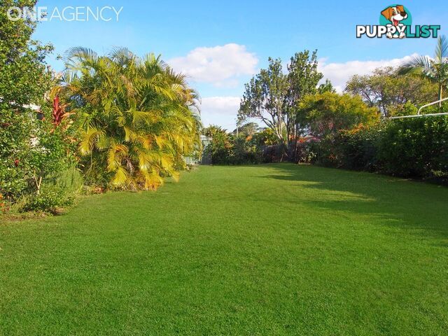 6 Brighton Street Woody Point QLD 4019