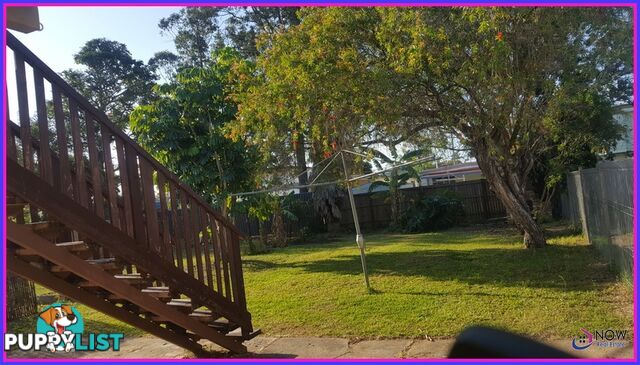 51 Domnick St CABOOLTURE SOUTH QLD 4510