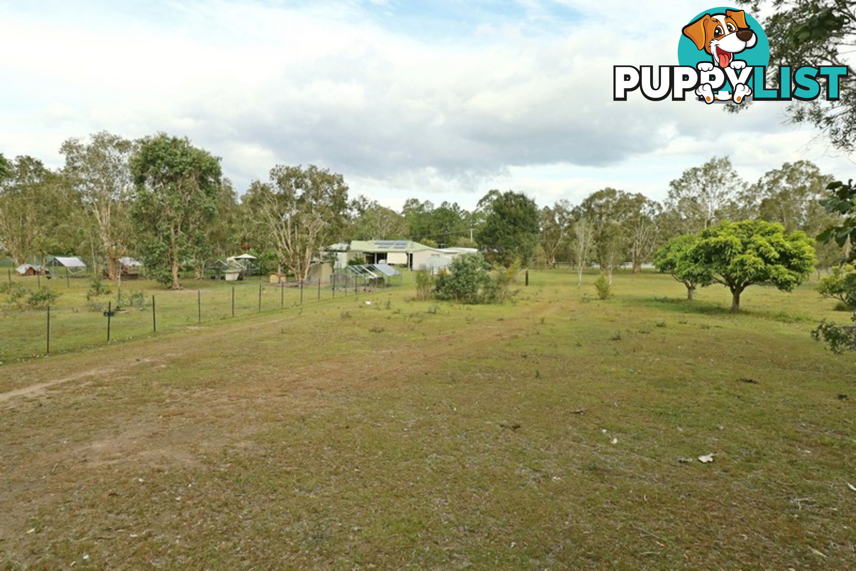 20 McConachy Rd ELIMBAH QLD 4516