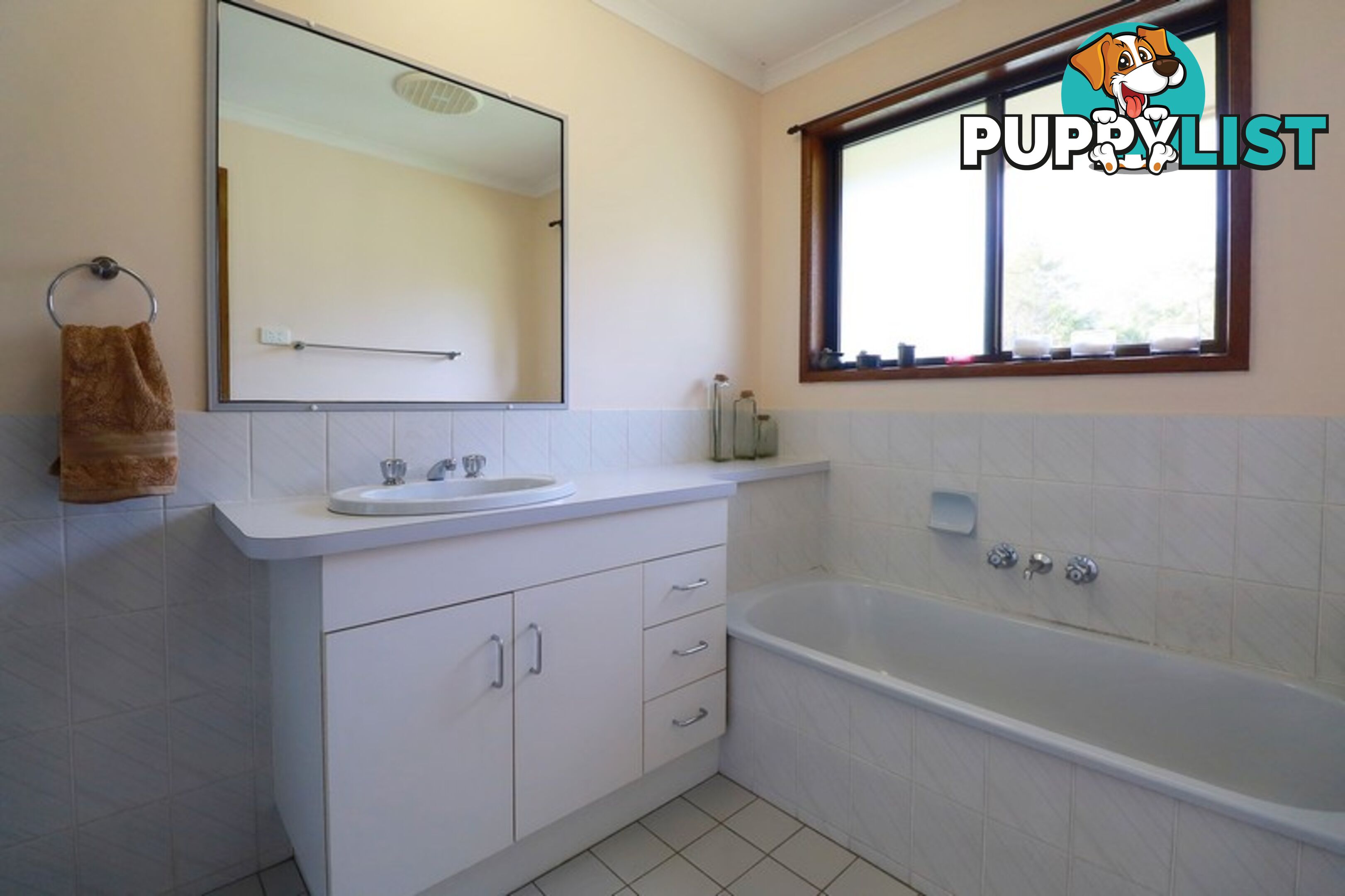 20 McConachy Rd ELIMBAH QLD 4516