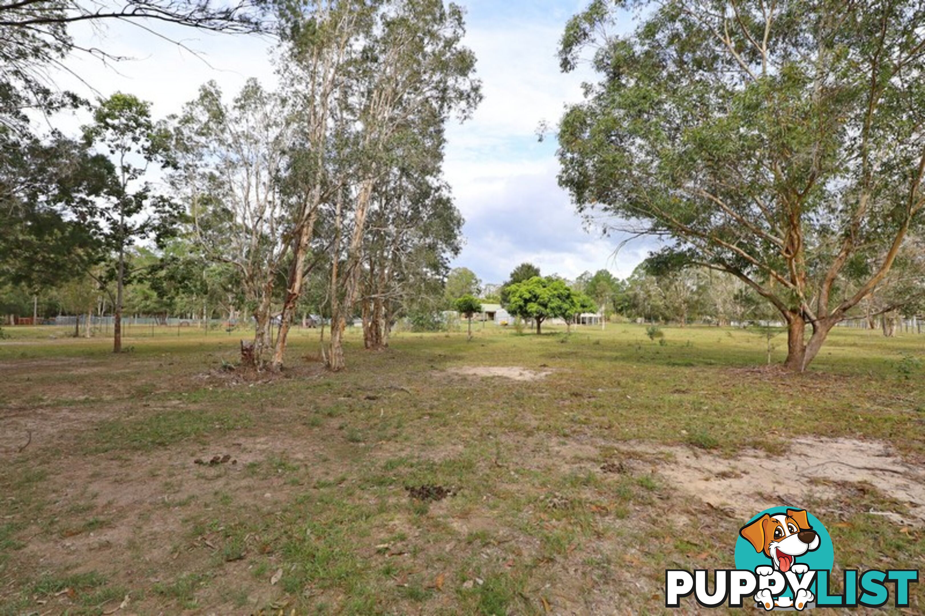 20 McConachy Rd ELIMBAH QLD 4516