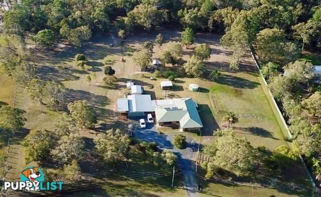 20 McConachy Rd ELIMBAH QLD 4516