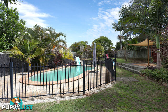 5 Coralfern Court MORAYFIELD QLD 4506