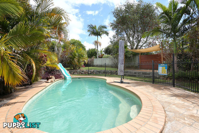 5 Coralfern Court MORAYFIELD QLD 4506