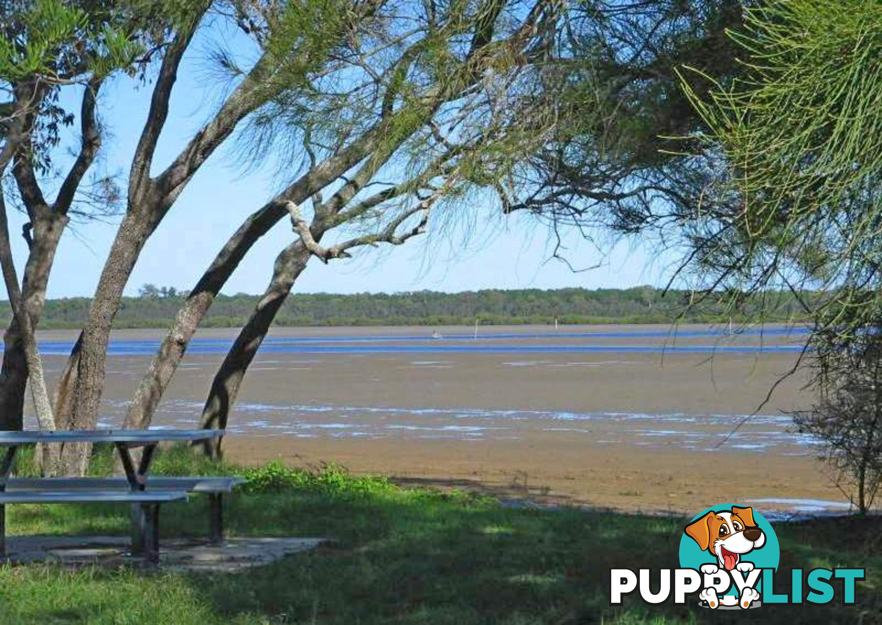 4 Great Knot Place BOONOOROO QLD 4650