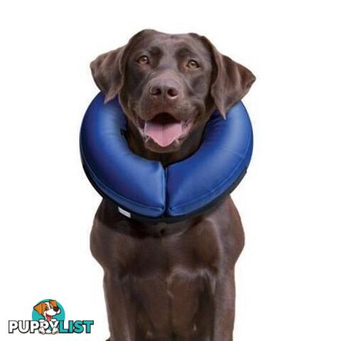 Buster Inflatable Collar XS - COLLIBN00