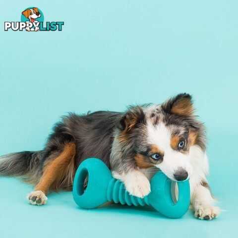 Zippy Paws ZippyTuff Squeakerz - Dumbbell - ZP411