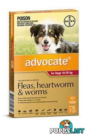 Advocate for Dogs 10kg - 25kg (Red) - 6 Pack - 1891298