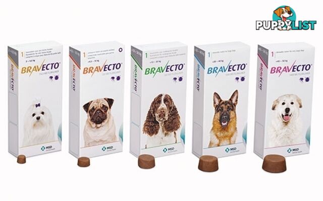 Bravecto Chew for Dogs - 3 Month Protection - 2 to 4.5kg (Yellow) - 2184106