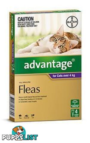 Advantage for Cats 4kg+ (Purple) - 4 Pack - 1890164