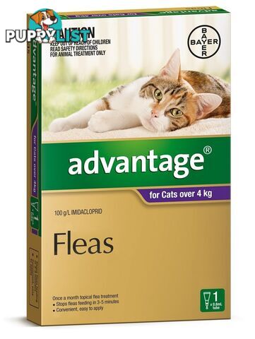 Advantage for Cats 4kg+ (Purple) - 1 Pack - 2205704