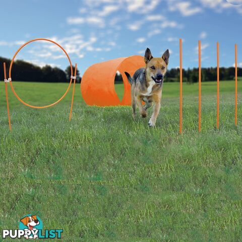 Outward Hound Outdoor Zip & Zoom Agility Kit - 42003