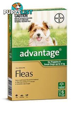 Advantage for Dogs 0-4kg (Green) - 6 Pack - 1890201