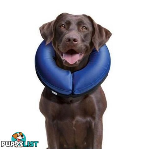 Buster Inflatable Collar Large - COLLIBN03