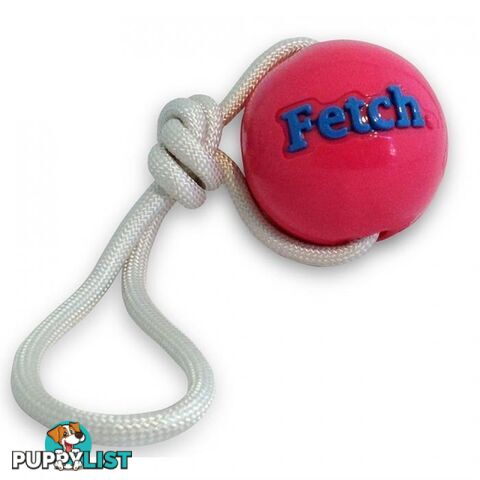 Planet Dog Orbee-Tuff Ball with Rope Pink - 68735