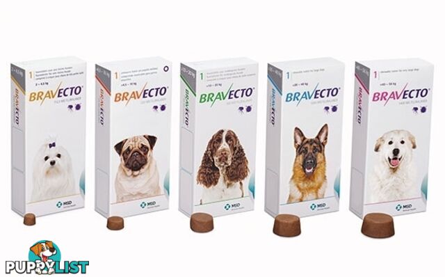 Bravecto Chew for Dogs - 3 Month Protection - 4.5 to 10kg (Orange) - 2184114