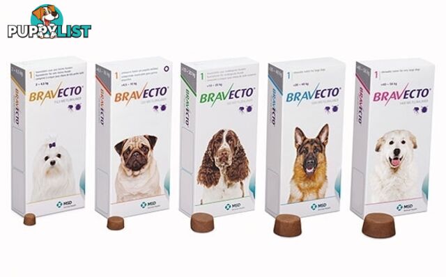 Bravecto Chew for Dogs - 3 Month Protection - 10 to 20kg (Green) - 2184122