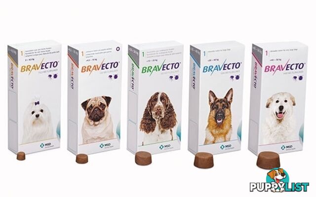 Bravecto Chew for Dogs - 3 Month Protection - 20 to 40kg (Blue) - 2184131