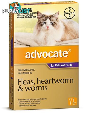 Advocate for Cats 4kg+ (Purple) - 1 Pack - 2205835