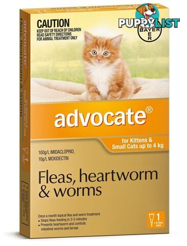 Advocate for Cats under 4kg (Orange) - 1 Pack - 2205819