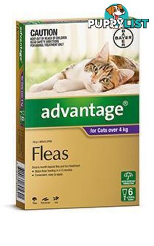 Advantage for Cats 4kg+ (Purple) - 6 Pack - 1890172