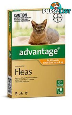 Advantage for Kittens & Cats 0-4kg (Orange) - 6 Pack - 1890156