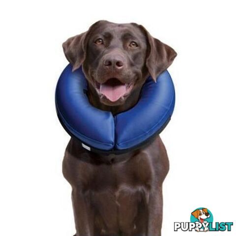 Buster Inflatable Collar XL - COLLIBN04