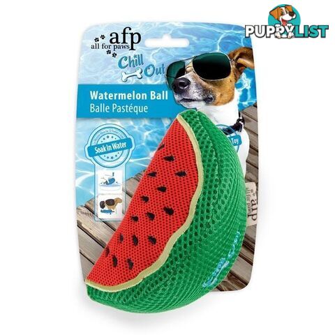 All For Paws Chill Out Watermelon Ball - AFP8232