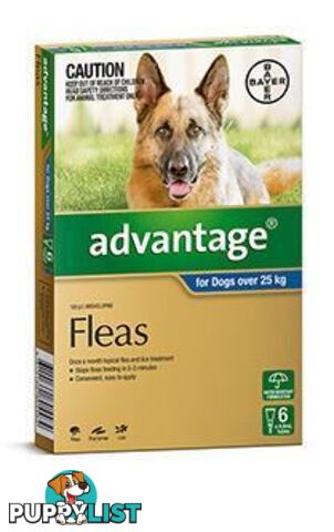 Advantage for Dogs 25kg+ (Blue) - 6 Pack - 1890279