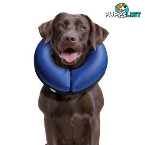 Buster Inflatable Collar Small - COLLIBN01